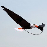 Kite "Eagle"
