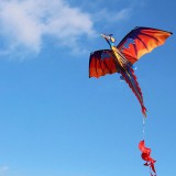 Kite „Dragon“