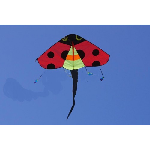 Kite "Little Lady-bug"