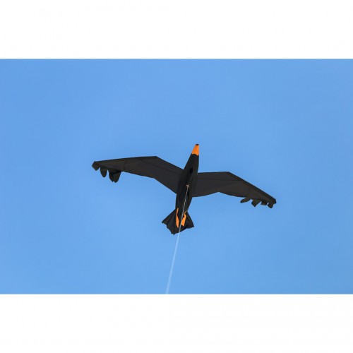 Kite "Raven"